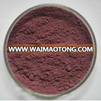 Bilberry Juice Powder