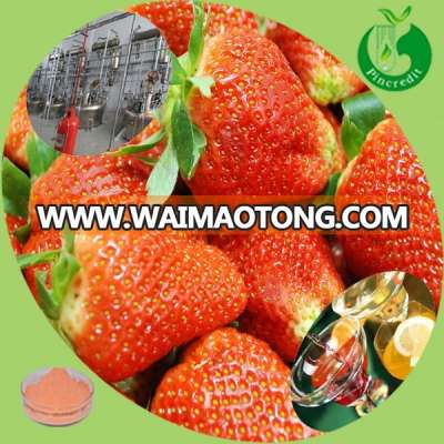 GMP factory supply strawberry fruit powder