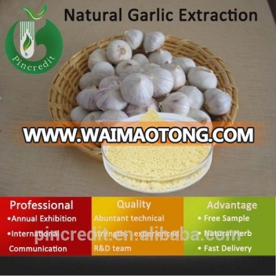 Natural Garlic Extraction Allicin/Garlic Plant Extraction/Natural Garlic Extraction