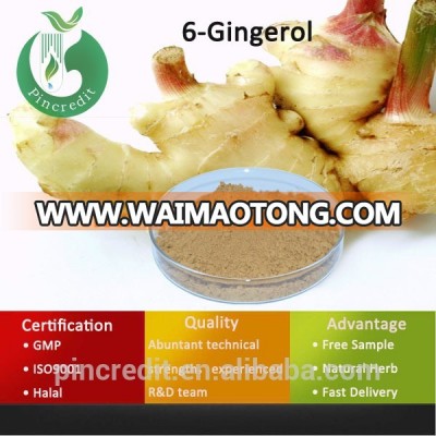 Ginger Extract/Ginger Extract Powder/6-Gingerol