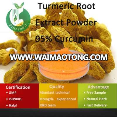 Curcumin Powder/Curcumin/Turmeric Root Extract Powder 95% Curcumin