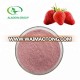 Kosher top quality food grade strawberry fruit powder for juice drinks