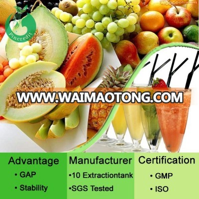 Manufacturer fruit juice powder in summer organic dried kiwi fruit