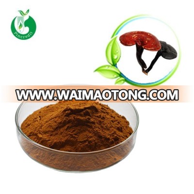 Pincredit supply ganoderma lucidum extract powder