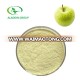 Kosher  top quality organic green apple juice powder