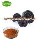 Natural 10%polysaccharide 6%Triterpenoids Mushroom Reishi Extract