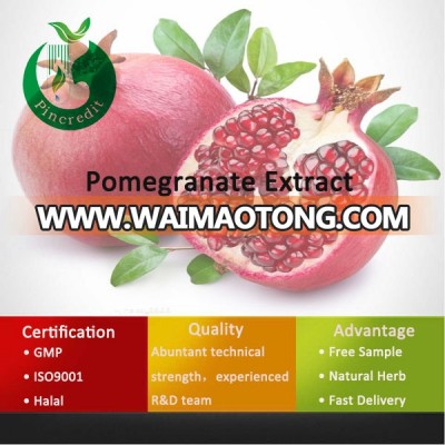 Pomegranate Instant Drink Powder/Pomegranate Juice Powder