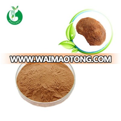 Top Quality Beta Glucan from Hericium Erinaceus Extract