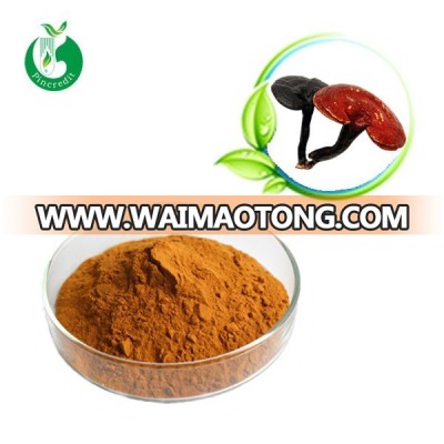 Organic Lucidum Ganoderma Extract