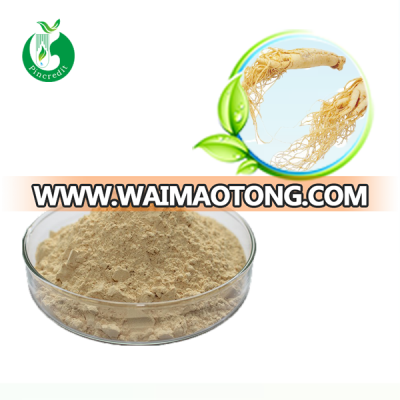 Ginseng Extract Ginsenoside/Ginseng Extracts 80%/Korean Red Ginseng Extract Drink