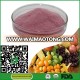 Original flavor fruit and vegetable juice powder fruit and vegetable powder