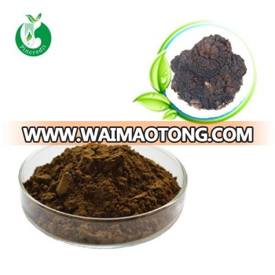 High Quality Chaga P.E/100% Natural Chaga P.E/Pure Chaga P.E