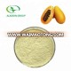 Kosher top quality dry papaya fruit juice powder