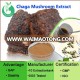 Chaga Mushroom Powder Pure Chaga Powder / Powdered Chaga Extract