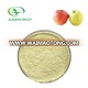 Kosher top quality bulk dried apple powder