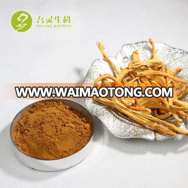 Herb Plant Mushroom Cordyceps Militaris Price Cordyceps Sinensis Extract