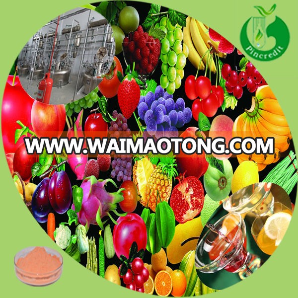 Two workshops produce high quality various fruit jelly powder